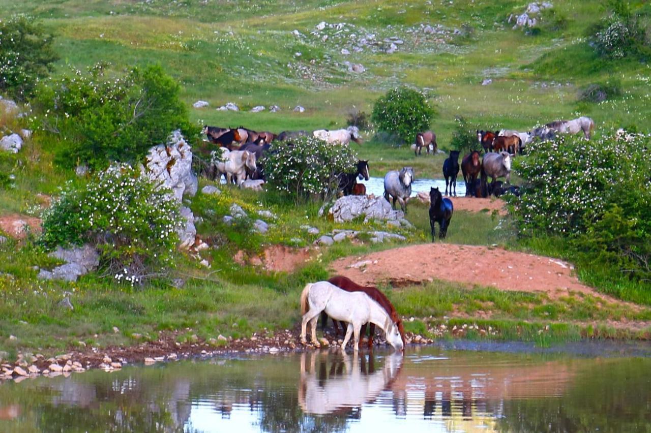 Apartman "Park" Livno Exteriér fotografie